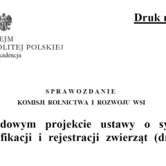 Ustawa o systemie identyfikacji i rejestracji zwierząt - co musisz wiedzieć?