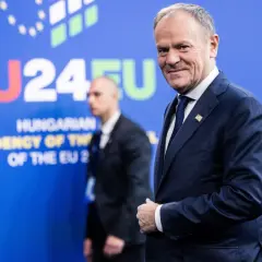 Co znaczy słowo tusk? Zaskakujące znaczenie w języku polskim
