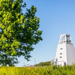 Zielona korona drzewa i wieża szybu kopalnianego na tle błękitnego nieba. Kto zyska najwięcej na obniżeniu podatku miedziowego od wydobycia kopalin?