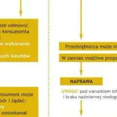 Ustawa o ochronie praw konsumenta: Twoje prawa i obowiązki przedsiębiorców