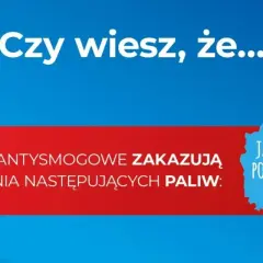 Ustawa antysmogowa w Wielkopolsce: Jak uniknąć zanieczyszczeń?