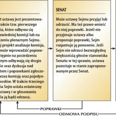 Senat czym się zajmuje? Odkryj jego kluczowe kompetencje i rolę