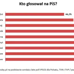 Kto glosuje na PiS? Zaskakujące statystyki wyborców tej partii