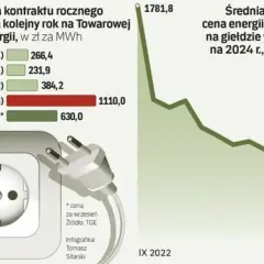 Ustawa o zamrożeniu cen energii dla firm - jak uniknąć wzrostu kosztów