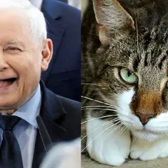 Ile kotów ma Kaczyński? Zaskakujące fakty o jego pupilkach