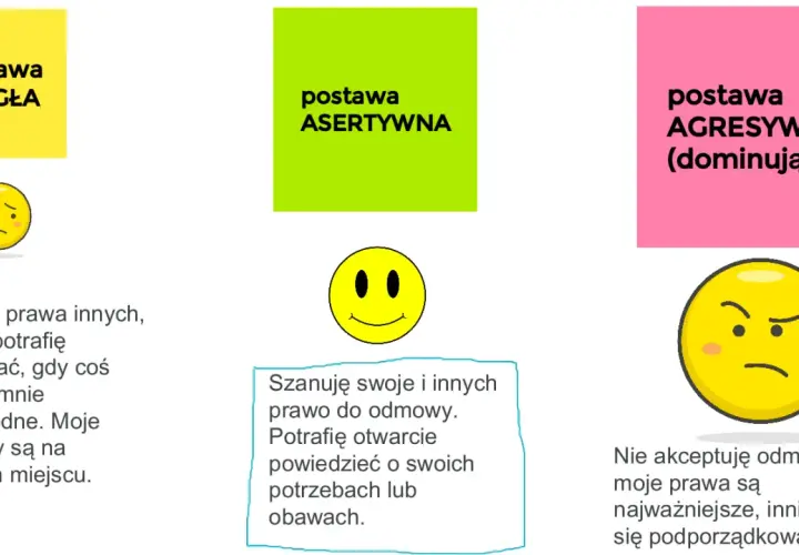 Grafika ilustruje postawy: uległą, asertywną i agresywną. Program "Asertywna Polska" promuje tę ostatnią, ucząc, kto stoi za nowym programem i jakie są jego główne założenia.
