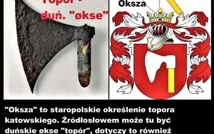 Jaki herb szlachecki ma Tusk? Odkryj tajemnice herbu Topór
