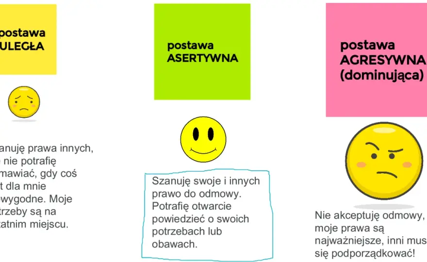 Asertywna Polska: Czym jest i jakie cele realizuje?