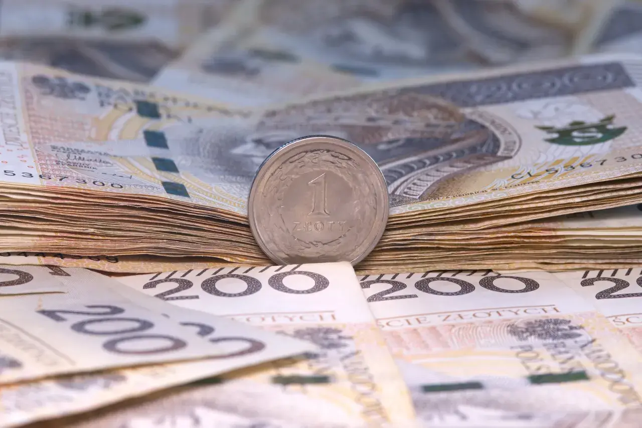 Złotówki i moneta symbolizują, kto finansuje kampanie wyborcze kandydatów startujących na urząd prezydenta w 2026 roku.