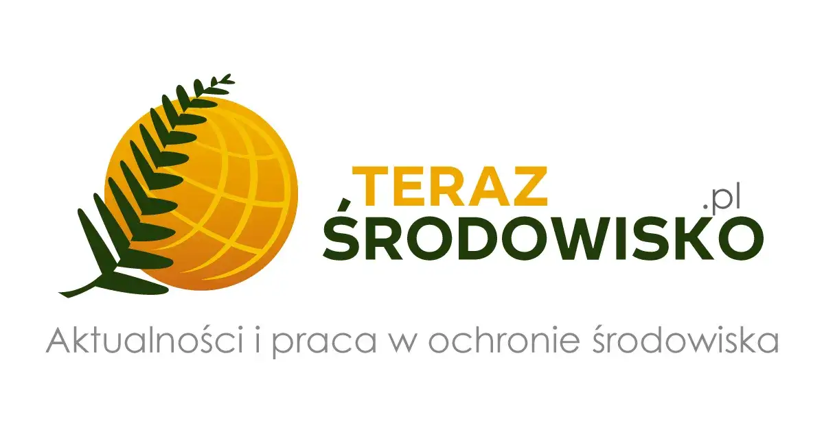 Zdjęcie Ustawa ocenowa: Kluczowe zmiany i ich wpływ na ochronę środowiska